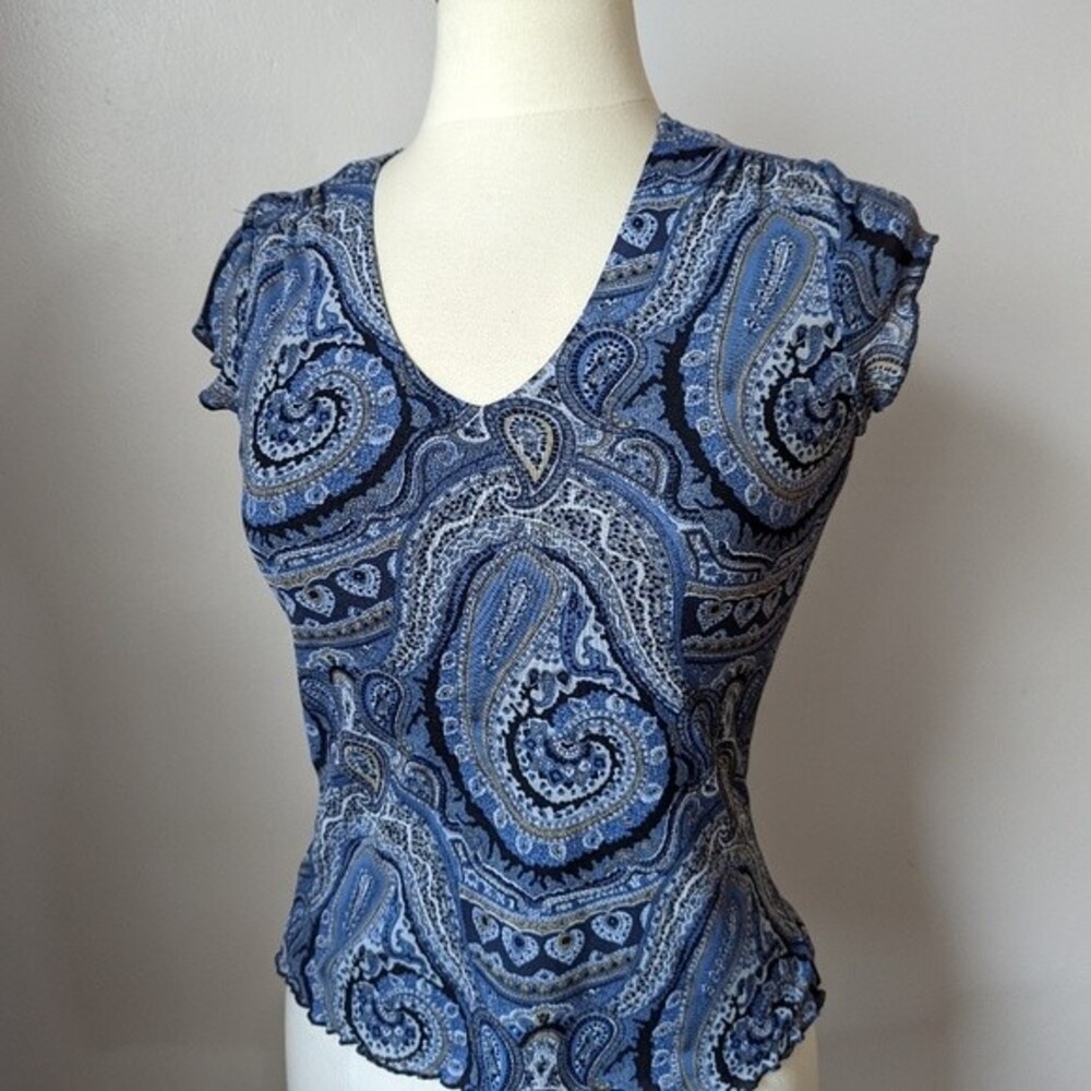 Y2K style paisley mesh v-neck lettuce hem top Size M